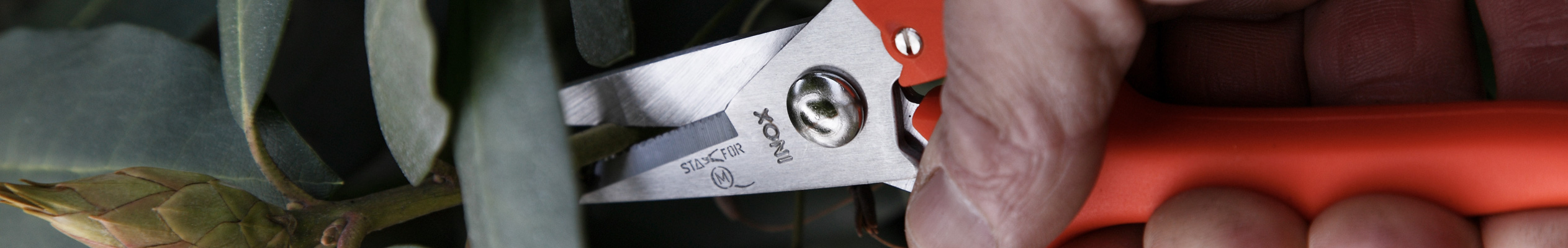 multi-purpose-scissors