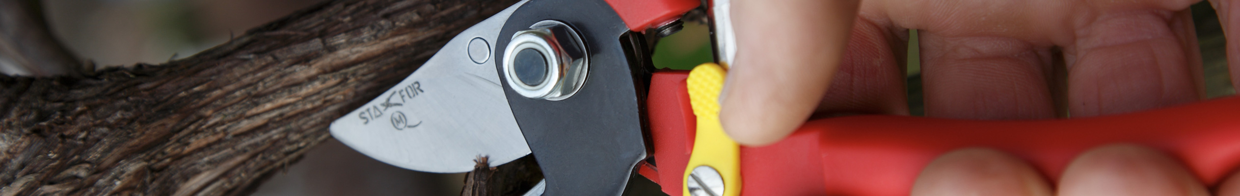 secateur-et-outils-pour-gauchers